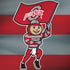Ohio State University OSU Buckeyes Flag Dell Inspiron Skin
